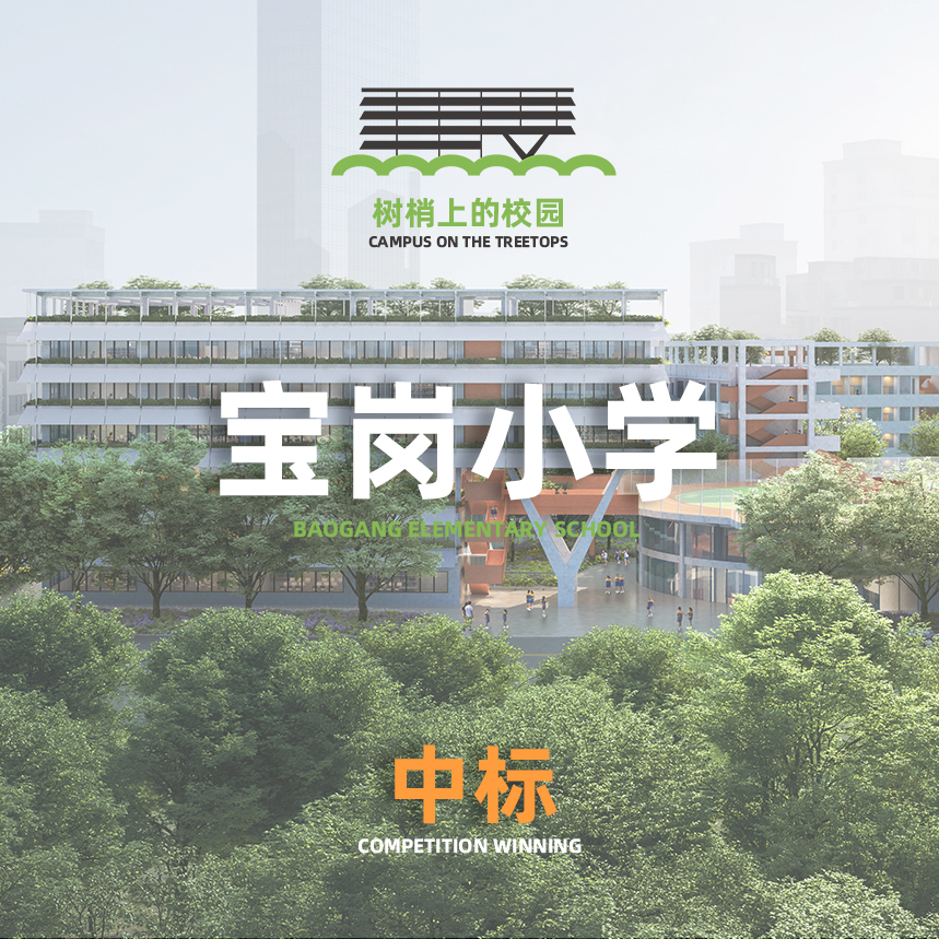 宝岗小学方案中标